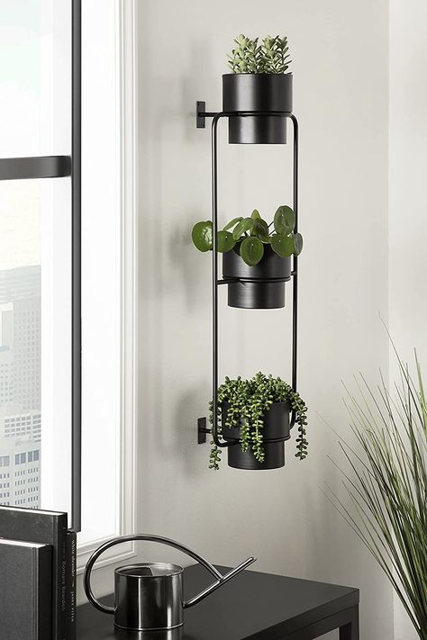 Amazon.com: Kate and Laurel Ascher Wall Mounted Planter, 13x9x36, Black : Patio, Lawn & Garden Indoor Plant Wall, Wall Mounted Planters, Metal Hanging Planters, Hanging Planters Indoor, Hanging Plant Wall, Vertical Planter, Plant Display, Garden Design Plans, Decorative Planters