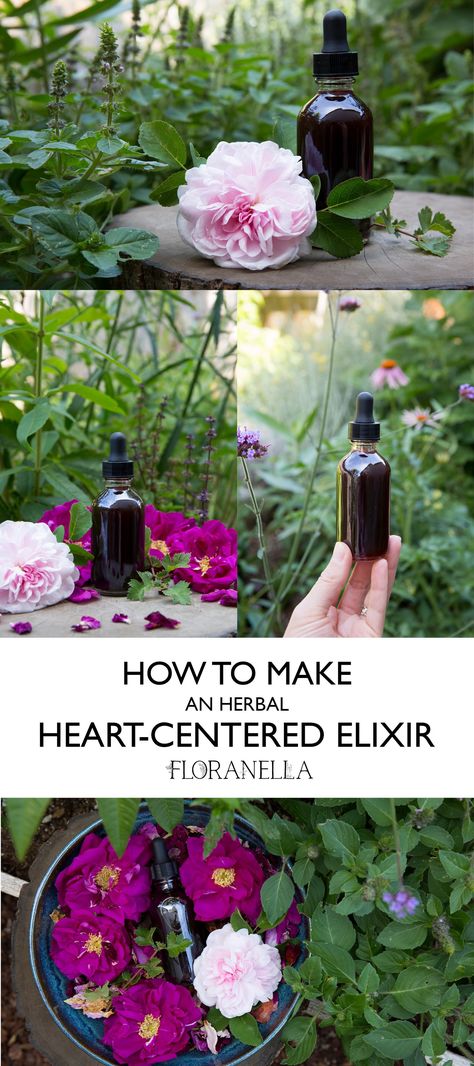 Heart-Centered Elixir Recipe — Floranella Herbal Garden Ideas, Herbalist Kitchen, Hibiscus Recipe, Herbal Salve Recipes, Elixir Recipe, Herbal Garden, Herbal Education, Herbal Remedies Recipes, Salve Recipes