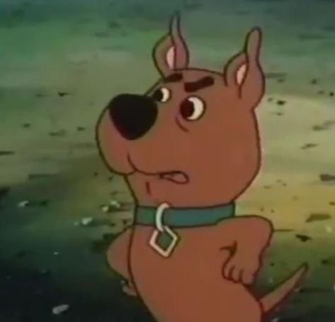 Old Cartoon Network Shows, Mystery Gang, Cartoon Network Art, Old Cartoon Network, Scooby Doo Images, Scrappy Doo, Cartoon Dogs, Cartoon Network Shows, Scooby Doo Mystery