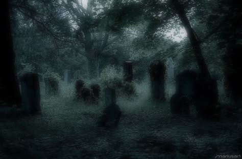 Grunge Graveyard Aesthetic, Green Graveyard Aesthetic, Graveyard Aesthetic Green, Gravedigger Aesthetic, Grave Yard Background, Dark Graveyard Aesthetic, Graveyard Lighting, Grave Yard Aesthetic, Forest Graveyard