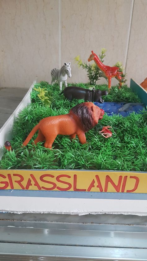 Grassland-Model # school exhibition- Dev Wild Animals Projects For Kids, Grassland Project, Environmental Science Projects, Grassland Animals, Pretty Zinta, Grassland Habitat, School Exhibition, Habitats Projects, Project For School