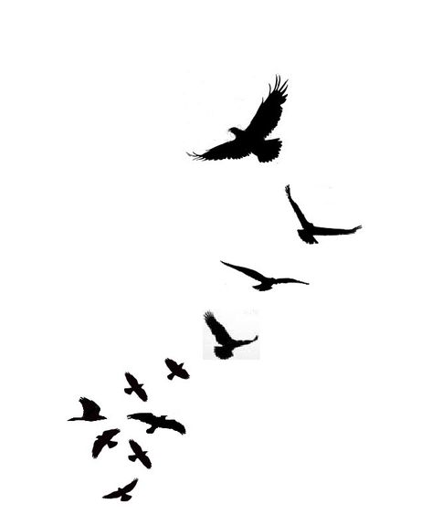 Bird Silhouette Tattoos, Rabe Tattoo, Bird Tattoo Men, Vogel Tattoo, Black Bird Tattoo, Flying Bird Tattoo, Tattoo Bird, Small Bird Tattoo, Free Tattoo Designs