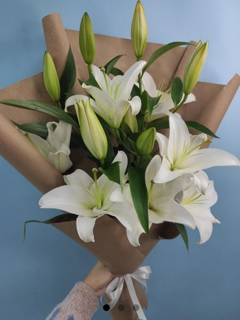 White Lotus Flower Bouquet, Simple Lily Bouquet, Easter Lily Bouquet, White Lily Bouquet Aesthetic, Lilium Flower Bouquets, Lilies Bouquet Aesthetic, Lillys Flowers Bouquet, Lily Flower Bouquet Aesthetic, Lily Bouquet Aesthetic