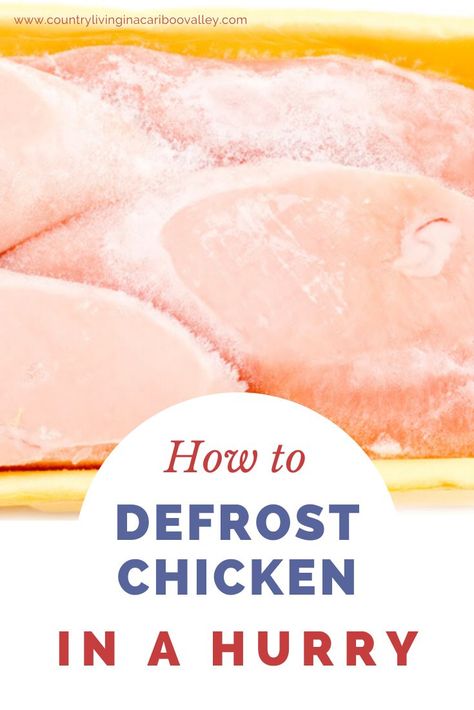 Thawing Chicken Quickly, Dinner Recipes Frozen Chicken, How To Dethaw Frozen Chicken Fast, Defrost Chicken Instant Pot, How To Thaw Chicken Quickly, How To Defrost Chicken Quickly, Frozen Chicken Oven, Frozen Meat Recipes, Dinner With Frozen Chicken