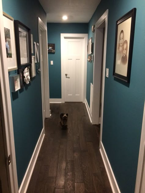 Teal hallway paint, white trim, picture collage, matter frames Back Hallway Ideas, Teal Hallway, Dark Blue Feature Wall, Hallway Wall Colors, Blue Feature Wall, Hallway Paint Colors, Blue Hallway, White Hallway, Hallway Paint