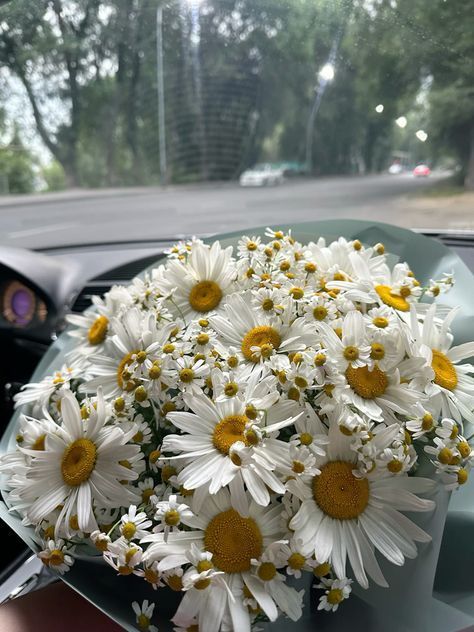 Flowers Daisy Aesthetic, Daises Bouquet Aesthetic, Daisy And Gypsophila Bouquet, Bouquet Of Flowers Daisy, Big Daisy Bouquet, Daisies And Baby Breath, Daisy And Sweet Pea Bouquet, Daisy Flowers Bouquet, Aesthetic Bouquet Flowers