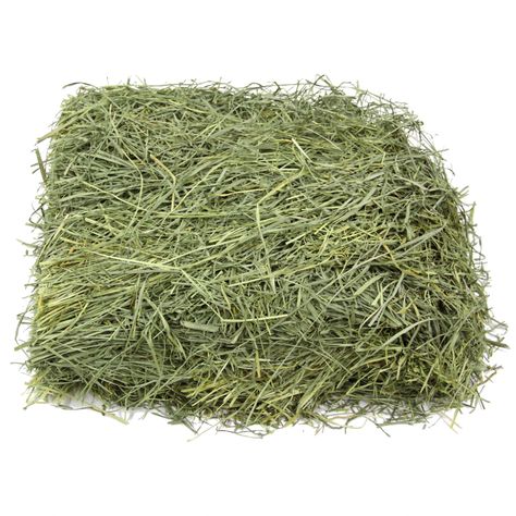 Scarecrow Character, Grass Hay, Hay Bag, More Nutrition, Blue Green Color, Pet Bunny, Farms Living, Gerbil, High Fiber