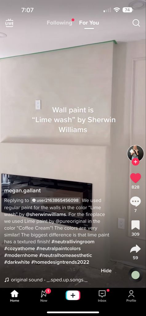 Limewash Shiplap, Color Atelier Lime Paint, Lime Wash Sherwin Williams, Sherwin Williams Limewash Paint Color, Limewash Sherwin Williams, Sherwin Williams Limewash, Lime Wash Fireplace, Limewash Fireplace, Paint Decor