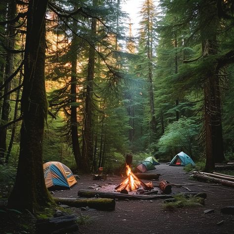 Camping in Woods: Cozy campsite set in a serene forest, with tents pitched and a warm fire crackling. #camping #forest #campfire #tents #woods #nature #outdoor #adventure #aiart #aiphoto #stockcake https://ayr.app/l/4hYT Backcountry Camping Aesthetic, Camping In Woods, Camping Asthetics Photos, Nature Camp Ideas, Outdoor Vision Board, Camping Fire Aesthetic, Cozy Camping Aesthetic, Vision Board Camping, Camping Mood Board