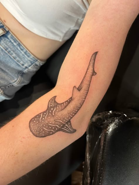 Wale Shark Tattoos, Whale Shark Outline Tattoo, Wobbegong Shark Tattoo, Shark Whale Tattoo, Shark Tattoo Elbow, Cute Whale Shark Tattoo, Simple Whale Shark Tattoo, Shark Elbow Tattoo, Small Whale Shark Tattoo