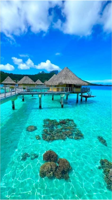 Trip To Bora Bora, Travel To Fiji, Travelling Ideas, Dream Vacations Destinations, Holiday Places, Water Ocean, Summer Goals, Destination Voyage, Dream Travel Destinations