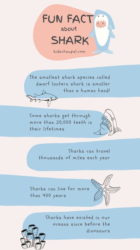 Fun Facts About Sea Animals, Fun Facts Animals, Facts About Whale Sharks, Shark Hyperfixation, Lemon Shark Facts, Sea Animal Facts, Marine Biology Facts, Shark Diagram, Hammerhead Shark Facts