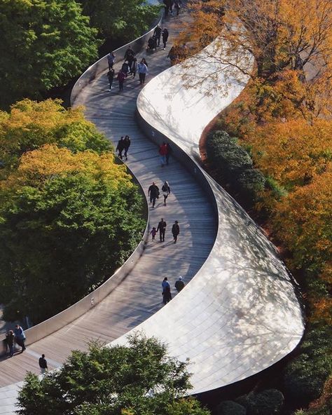 Chicago Architecture Center on Instagram: “The first bridge designed by architect Frank Gehry, the BP Pedestrian Bridge doubles as a sound barrier from the traffic of Columbus…” Bridges Architecture, Lan Can, Frank Gehry, Chicago Architecture, Landscape Architecture Design, Pedestrian Bridge, Bridge Design, The Windy City, Studio Photo