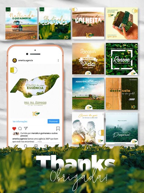 Nature Editorial, Agriculture Design, Agriculture Projects, Indesign Layout, Beauty Advertising, Illustrator Design Tutorial, Website Design Layout, Natural Branding, Social Media Designs