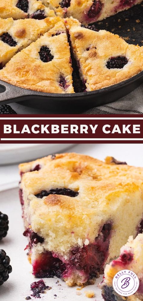 Easy Blackberry Cake - Belly Full Blackberry Bunte Cake, Blackberry Breakfast Cake, Blackberry Strawberry Recipes, Baking With Blackberries, Blackberry Cake Recipe Easy, Easy Blackberry Dessert, Blackberry Cupcakes Recipes, Recipes Using Blackberries, What To Make With Blackberries