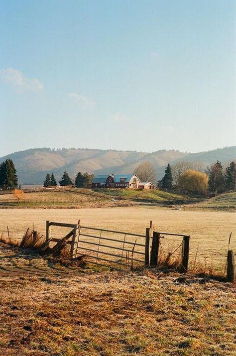 Tis Autumn, Aesthetic Finds, Nikon F2, Rural Photography, Films Photography, Country Sunset, Ektar 100, Analogue Photography, Photography 35mm