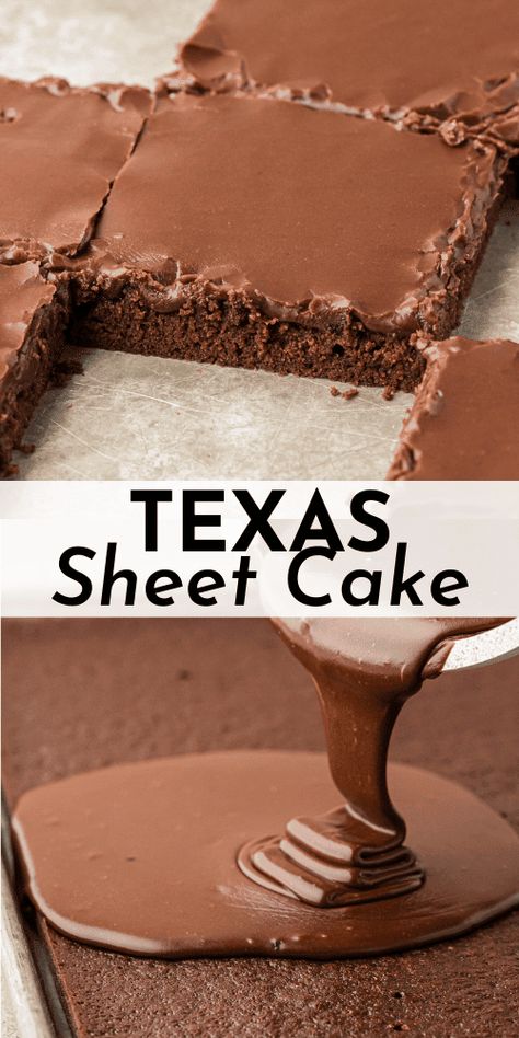 Chocolate lovers get excited, because I am sharing my secrets for the absolute best Texas sheet cake! With just 15 minutes of prep, you'll have a perfectly moist chocolate cake with irresistible chocolate frosting that is perfect for large gatherings. Chocolate Texas Sheet Cake, Texas Chocolate Sheet Cake, Texas Sheet Cake Recipe, Texas Sheet, Chocolate Sheet Cake, Texas Sheet Cake, Sheet Cake Recipes, Best Chocolate Cake, Moist Chocolate Cake