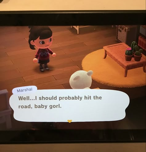 I changed Marshal’s catchphrase and… well… it was funny in the moment, and now I don’t know if I can change it. Help. Funny Animal Crossing Catchphrases, Acnh Catchphrase Ideas Funny, Catchphrases Animal Crossing, Animal Crossing Catchphrases, Marshall Acnh, Animal Crossing Catchphrase Ideas, Acnh Catchphrase Ideas, Acnh Catchphrase, Anch Villagers