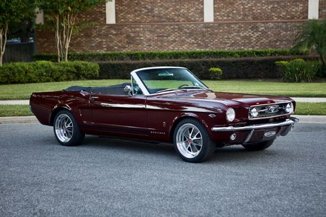 This is a 1966 Mustang GT Convertible in Vintage Burgundy Metallic. It has Black/Burgundy two-tone interior. This car has 17x8 Styled Aluminum Charcoal wheels. It features a 460hp Ford 5.0L Ti-VCT Coyote DOHC V8 engine and a 10R80 10-speed automatic transmission. 1964 Mustang Convertible, 1966 Ford Mustang Convertible Cherry Red, Cherry Red Convertible, Burgundy Mustang, Convertable Cars Aesthetic, Vintage Convertible Cars, Burgundy Car, Vintage Ford Mustang, 1966 Mustang Gt