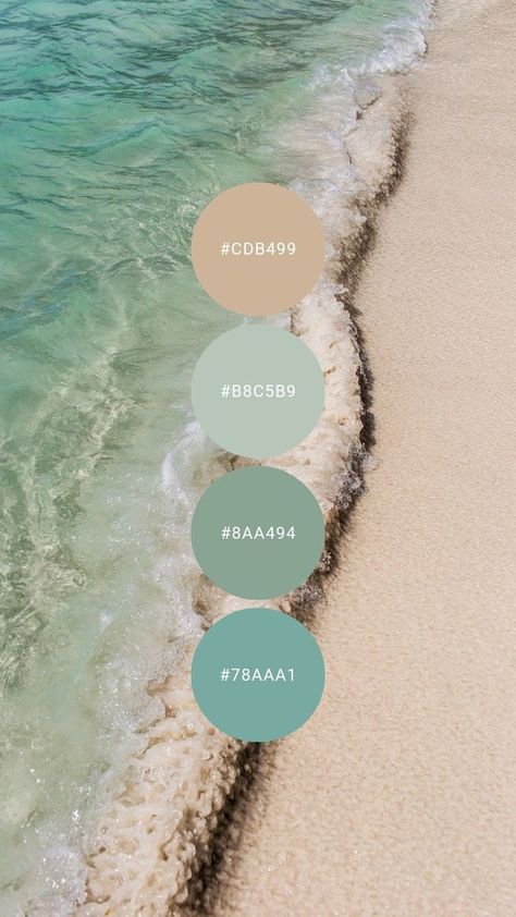 Office Sunroom, Bedroom Palette, Beach Color Palettes, Breeze Color, Teal Color Palette, Beachy Colors, Graphisches Design, House Color Palettes, Color Schemes Colour Palettes