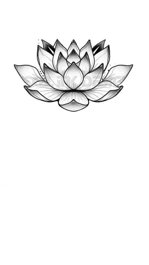 Tattoo Espalda Mujer, Tattoo Koi, Flor Tattoo, Lotus Tattoo Design, Lotus Art, Dark Art Tattoo, Lotus Tattoo, Flash Tattoo, Dark Art