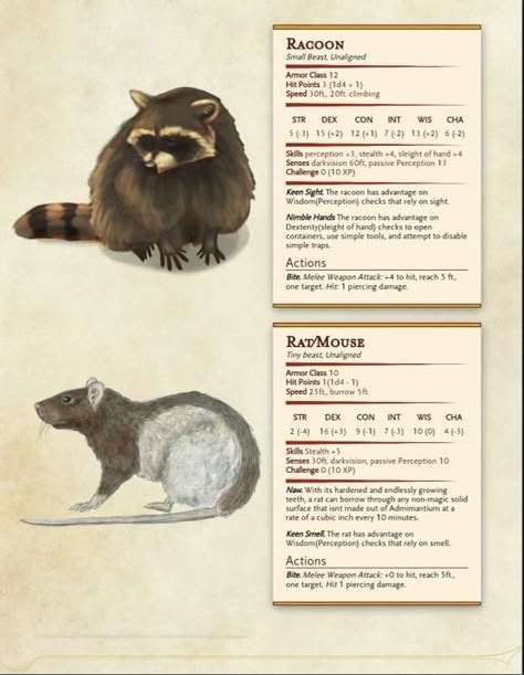 Fox Dnd 5e, Fox Familiar Dnd, Dnd Homebrew Pets, D&d Pets, Dnd Raccoon, Dnd Familiar Ideas, Dnd Homebrew Creatures, Dnd Beasts, Dnd Pets