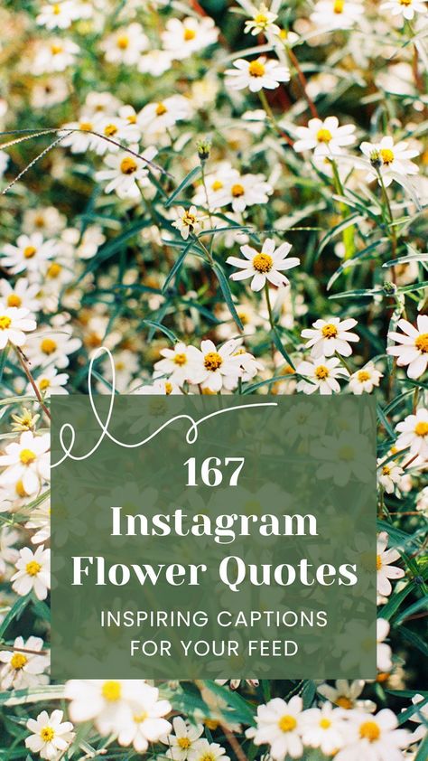 Are you looking for a way to express your love for flowers on Instagram? Look no further! These flower quotes for Instagram will inspire you! Fresh Flower Quotes, Aesthetic Quotes About Flowers, Short Flower Quotes, Quotes About Flowers, Flower Captions, Flower Captions For Instagram, Flower Quotes Inspirational, Beautiful Flower Quotes, Wild Flower Quotes