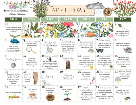 April Nature Calendar - April Homeschool Activities, April Journal, April Preschool, Homeschool Calendar, Nature Calendar, Calendar Activities, Preschool Schedule, Earth Month, March Activities