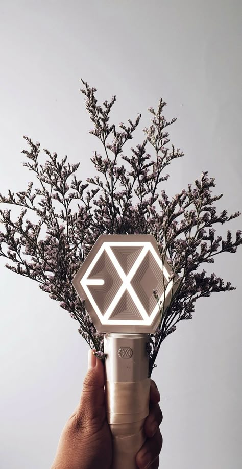 Exo Logo Wallpapers, Exo Background Wallpapers, Lightstick Exo, Exo Lightstick, Exo For Life, Exo Logo, Exo Background, Exo Merch, Kpop Lightstick