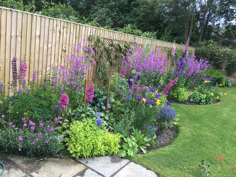 Sweet Rocket Flowers on garden border with Foxgloves and Alliums Garden Border Planting Plan, Country Garden Flower Beds, Uk Flower Beds, Narrow Garden Border Ideas, Front Garden Border Ideas Uk, Narrow Border Planting Ideas, Driveway Border Plants, Flower Border Garden, Border Planting Ideas