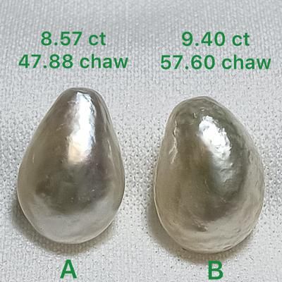 Pair Basra Natural Pearls Drop Shape 17.96 Carat Total 15mm: Type of pearl: Basra Natural Pearl   Weight: 17.96 carats - Total  Shape: Drop  Size: 15.08 x 8.44mm Largest & 14.97 x 8.31mm Smallest  Color: Light Cream Clam Pearl, Blue Mussel, Natural Pearl Jewelry, Conch Pearl, Persian Gulf, Pearl Farm, Basic Jewelry, Real Pearls, Natural Pearl