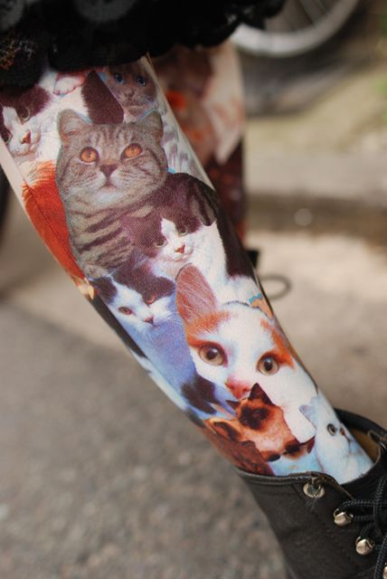 tights! with cats on them!! @Harté Smodic you need these Cat Tights, Funky Tights, Cool Tights, Lady Accessories, Crazy Cat People, Cat Leggings, Lady Clothes, Matching Socks, Cat Things