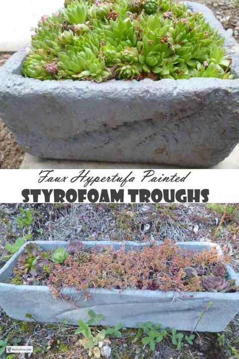 Styrofoam Diy, Styrofoam Recycling, Diy Styrofoam Crafts, Hypertufa Projects, Rock Planters, Purple Sunflower, Modern Gardening, Upcycled Planter, Painting Styrofoam