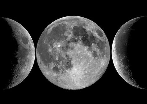 Photo black screen moon image 4k | Premium Photo #Freepik #photo #lunar-phases #moon-phases #full-moon #moon Lunar Phases, Moon Images, Moon Moon, Psd Icon, Image 4k, Black Screen, Moon Phases, Vector Photo, Premium Photo