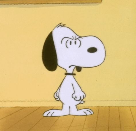 gameraboy: “ The Charlie Brown and Snoopy Show (1983) ” Moody Thursday. Gifs Snoopy, Snoopy Gifs, Crazy Images, Snoopy Gif, Woodstock Snoopy, Whiskey Girl, Snoopy Cartoon, Snoopy Funny, Snoopy Images