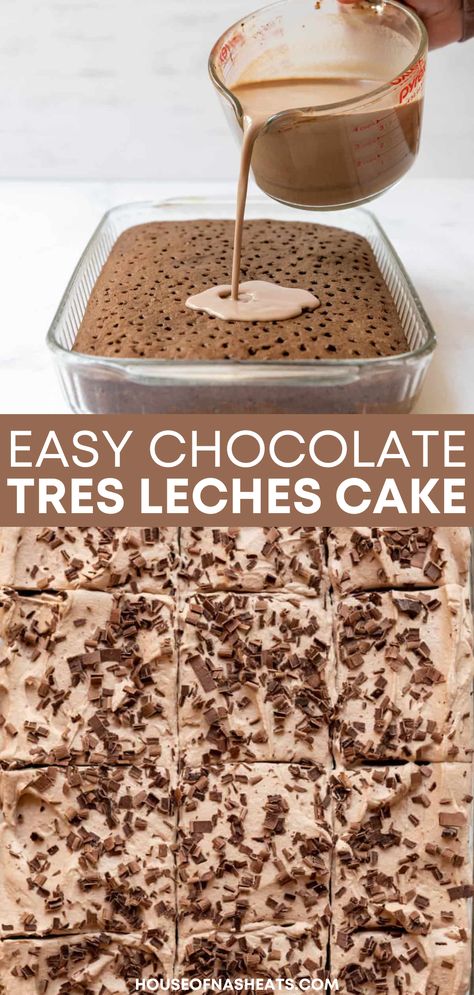 Seis Leches Cake, Des Leches Cake, Tees Leches Cake Recipe, Rum Tres Leches Cake, Chocolate 3 Leches Cake, Tres Leches Cake Recipe Chocolate, Tres Leches Mocha Cake, Tres Leches Cake From Scratch, Sourdough Tres Leches Cake