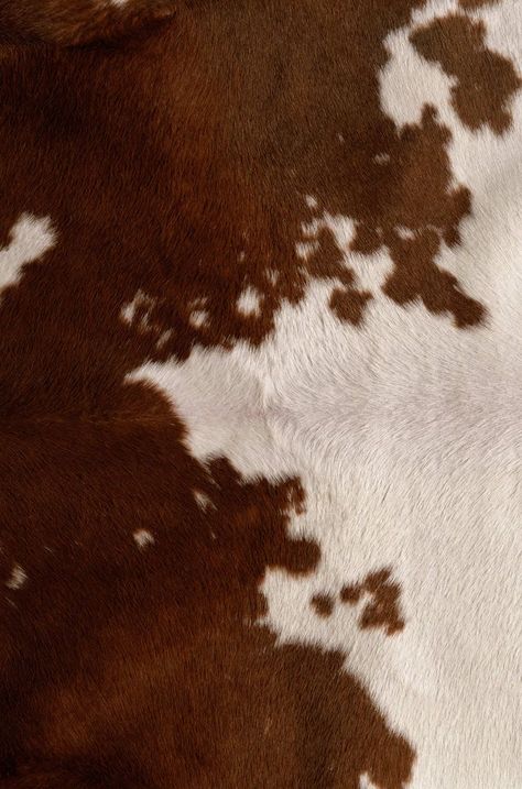 Modern Cowboy Aesthetic, Western Brunch, Cowgirl Era, Cow Print Wallpaper, Chestnut Springs, Picture Gallery Wall, Skin Drawing, Cowboy Aesthetic, Cow Pictures