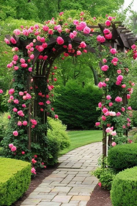 Side Yard Arbor Ideas, Climbing Rose Trellis Ideas Diy, Metal Arbor Ideas, Climbing Roses Pergola, Arch Trellis Ideas Garden, Wisteria Trellis Ideas, Backyard Trellis Ideas, Garden Arches Ideas Backyards, Rose Arches Garden