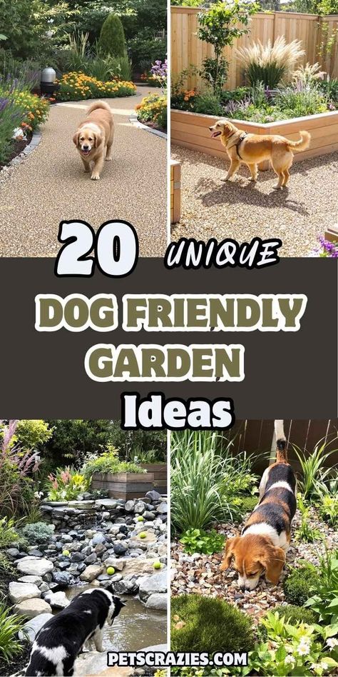 20 Dog Friendly Garden Ideas to Keep Your Dog Happy 2 Dog Friendly Garden Ideas, Pet Safe Landscaping, Dog Garden Ideas, Dog Friendly Backyard Landscaping, Dog Yard Landscaping, Dog Run Side Yard, Dog Park Design, Pet Friendly Backyard, Pet Friendly Yard