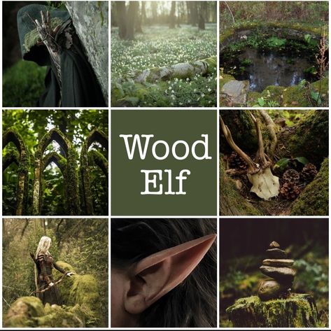 Wood Elf Druid Aesthetic, Elf Magic Aesthetic, Dnd Core Aesthetic, Wood Elf Dnd Druid, Forest Elves Aesthetic, Ranger Dnd Aesthetic, Dnd Ranger Aesthetic, Fantasy Elf Aesthetic, Druid Aesthetic Dnd