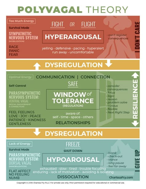 Nervus Vagus, Polyvagal Theory, Mental Health Counseling, Mental Health Therapy, Vagus Nerve, Counseling Resources, Therapy Counseling, Health Journal, Therapy Worksheets