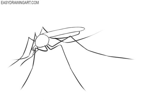 Mosquito Tattoo, Mosquitoes Drawing, Mosquito Drawing Easy, Mosquito Cartoon Cute, Mosquito Drawing, Mosquito Poster Design, Mosquito Clipart, Old Age Humor, Draw Two