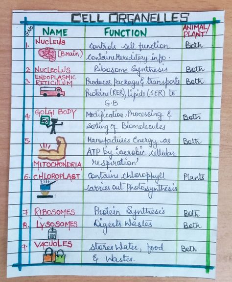 Class 11 Biology Notes Cell The Unit Of Life, Cell The Unit Of Life Short Notes, Cell The Unit Of Life Notes For Neet, Fundamental Unit Of Life Notes Class 9, Cytology Notes, Cell The Unit Of Life Notes Class 11, Cell The Unit Of Life Notes, Cell Organelles Notes, Cell Theory Notes