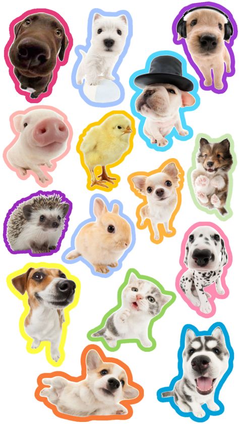 Pin It, Cute Stickers, Free Download, Wallpapers, Collage, Iphone, Memes, Dogs, Animals