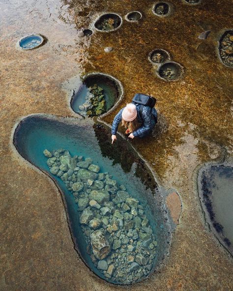 Botanical Beach, Vancouver Island, Canada 🇨🇦 Tidal Pool, Tide Pool, Photography Kit, Wallpaper Tumblr, Explore Canada, Philippines Travel, Destination Voyage, Tide Pools, Vancouver Island