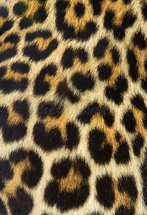 Fur Background, Yellow Texture, Fur Texture, Animal Print Wallpaper, Animal Fur, Clay Wall, Animal Projects, Animal Skin, Leopard Pattern