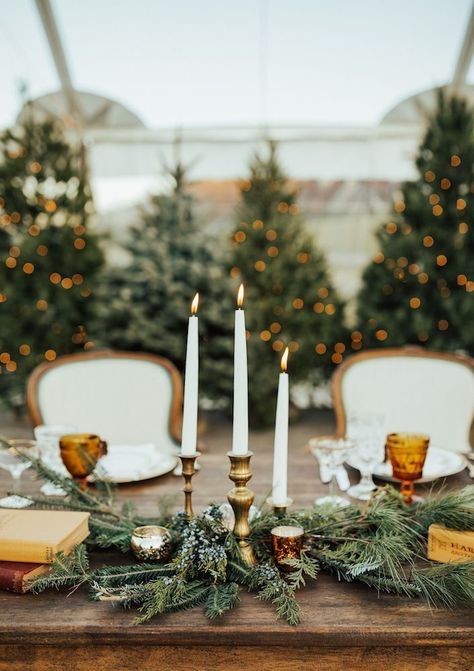 Pine Tree Wedding Backdrop, Winter Wedding Vintage, Minimalist Christmas Wedding, Christmas Tree Centerpieces Wedding, Pine Greenery Wedding, Christmas Tree Wedding Decorations, Outdoor December Wedding, Vintage Christmas Wedding Ideas, Simple Winter Wedding Table Decor