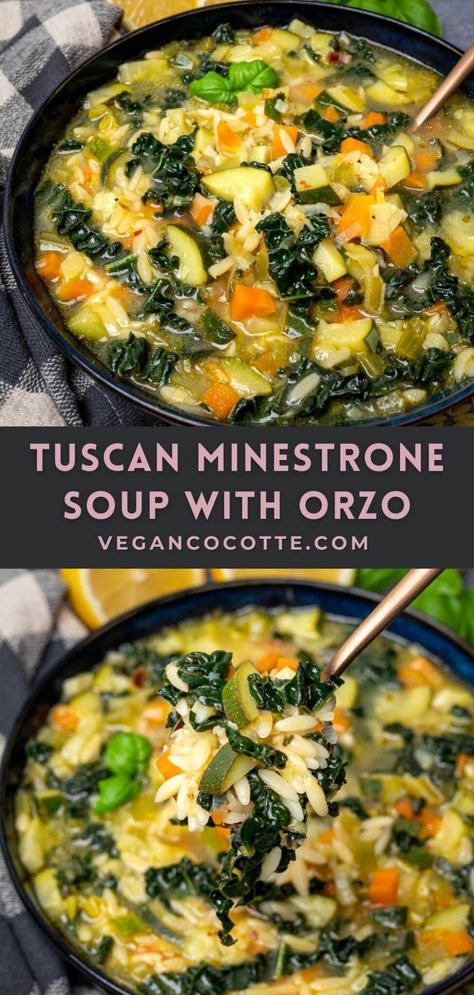 Jamies Minestrone Soup, Minestrone Soup With Orzo, Minestrone Soup Recipe Vegan, Vegetarian Soups And Stews Healthy, Orzo Soup Recipes Vegetarian, Orzo Minestrone Soup, Minestrone Soup Recipe Vegetarian, Soups Made With Orzo, Veggie Soups And Stews