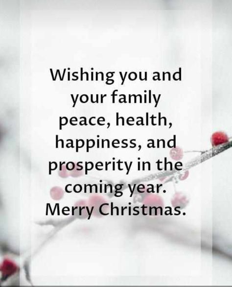 Festive Season Quotes, New Year Messages Inspiration, Xmas Wishes Quotes, Christmas Card Pics, Christmas Messages For Cards, Merry Christmas Greetings Quotes, Christmas Quotes Images, Wishes For Christmas, Christmas Card Verses