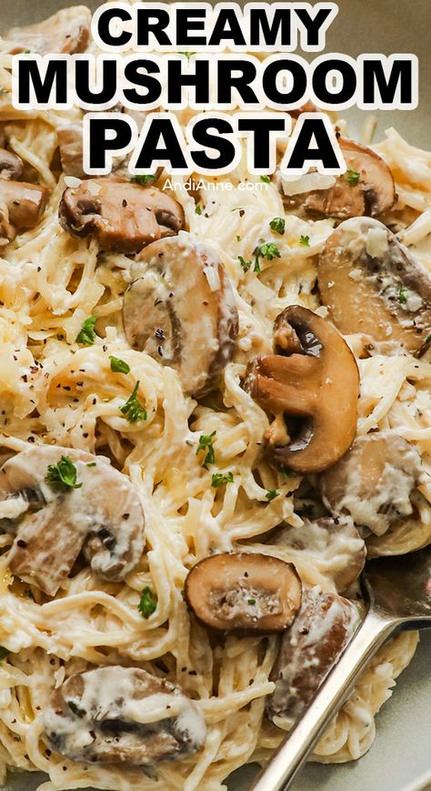 This creamy parmesan mushroom pasta is an easy all-in-one dinner idea using spaghetti pasta, fresh mushrooms and a creamy homemade sauce. It's full of delicious flavor and can be made in under 30 minutes! Creamy Pasta With Chicken And Mushrooms, Noodles With Mushroom Sauce, Canned Mushrooms What To Do With, Mushrooms With Pasta, Parmesan Mushroom Pasta, Spaghetti And Mushrooms, Parmesan Mushroom Spinach Pasta, Creamy Mushroom Rigatoni, Mushroom Feta Pasta